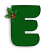 🎉