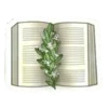 📖
