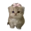 🐱