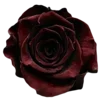 🥀