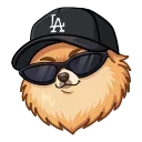 😎