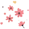 🌺