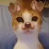☺️