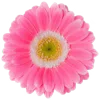 💐