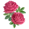 🌹