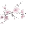 🌸