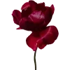 🥀
