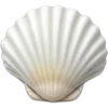 🐚