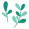 🌱
