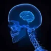 🧠