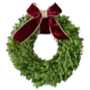 🌲