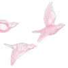 🌸