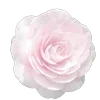 🌸