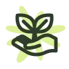 🌱