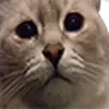 🙁