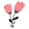 🌺