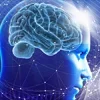 🧠