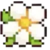 🌸