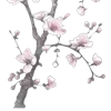 🌸