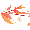 🌺