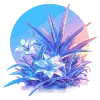 🌺