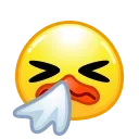 🤧