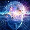 🧠