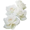 💐