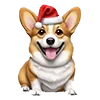 🐶