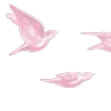 🌸
