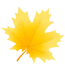 🍁