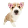 🎀