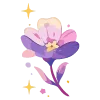 🌺