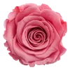 🌹