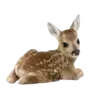 🦌