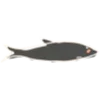 🐟