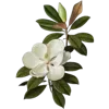 💐