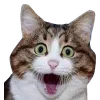 😲