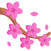 🌺