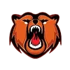 🐻