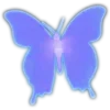 🦋