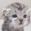 😭