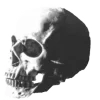 ☠️