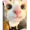 😊