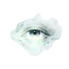 👁
