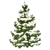 🌲