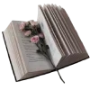 📙