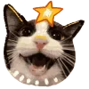 🎄