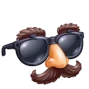 🕶