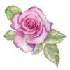 🌺